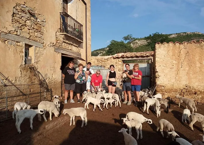 Amador Villarroya de los Pinares